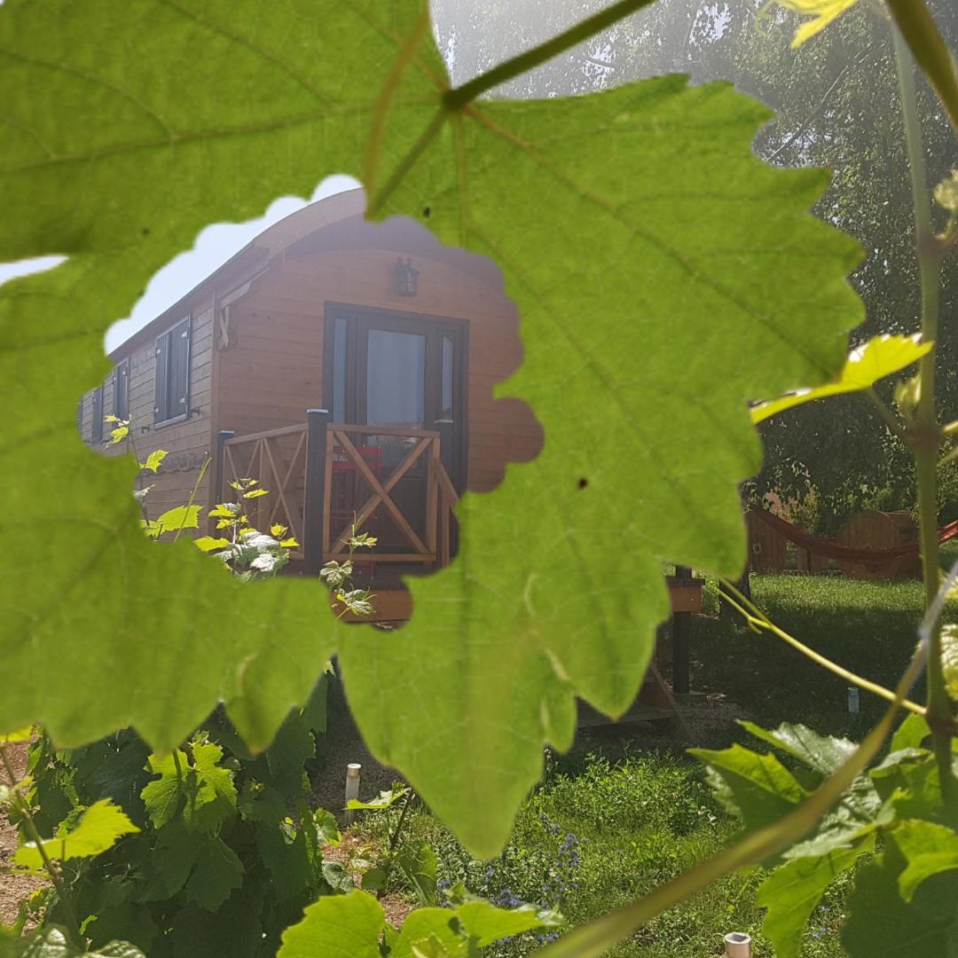 Roulotte Et Gite De Chiroubles Exterior foto